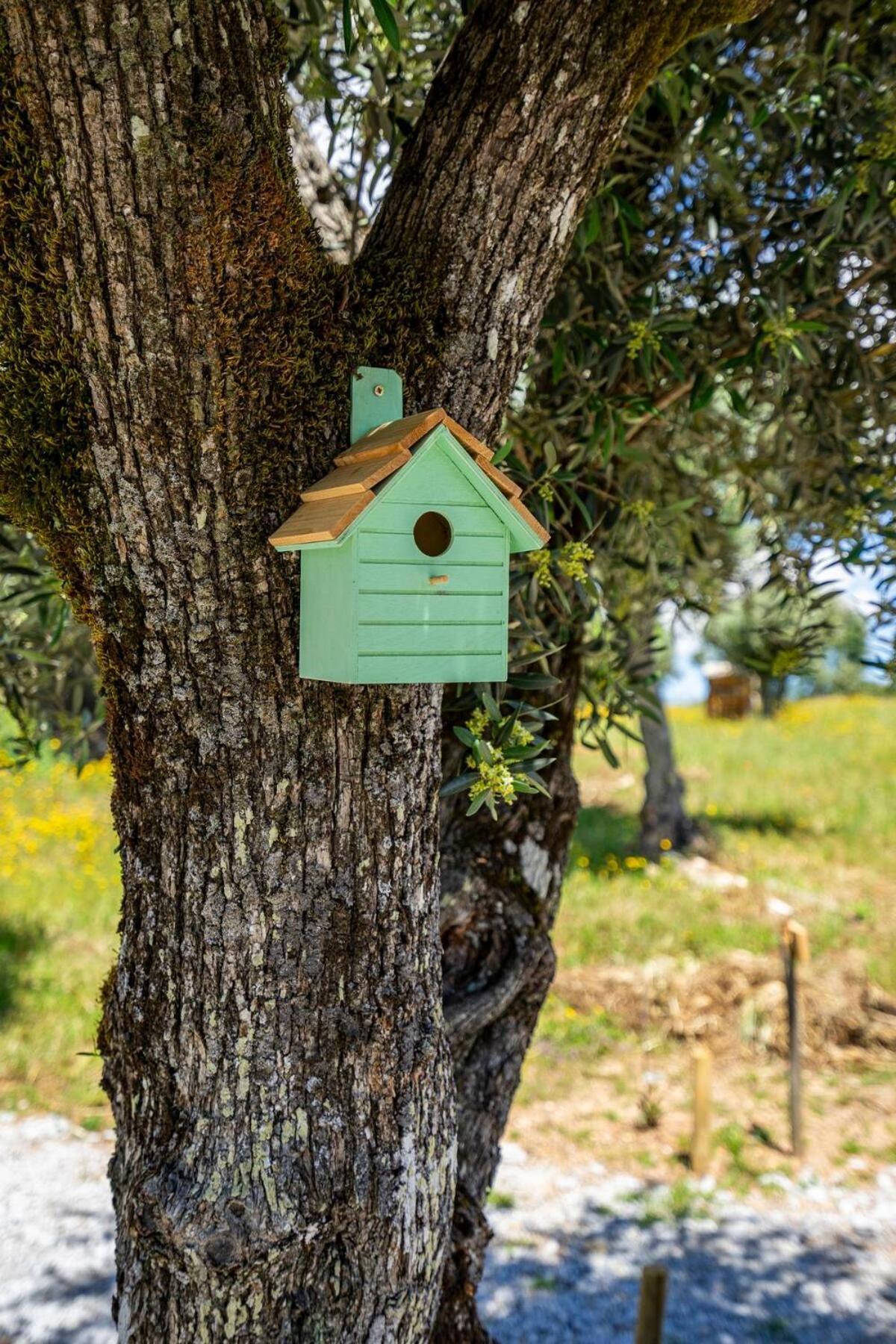 Hébergement de vacances Moinho De Palma De Naturalegre